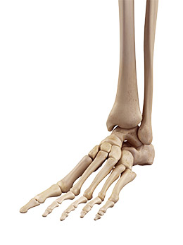 Spécialités de la chirurgie du pied