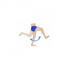 img Flexion - extension