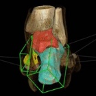 img Image 3D